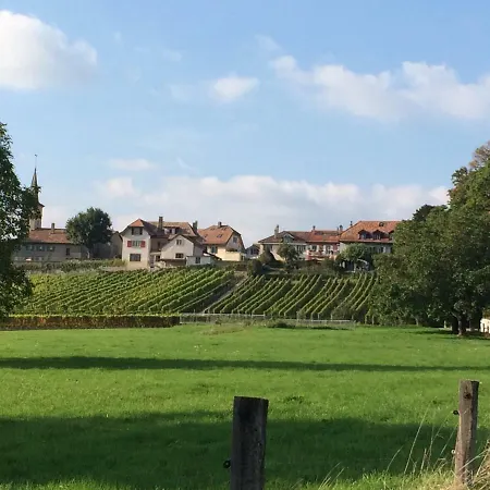 Chateau De Villa