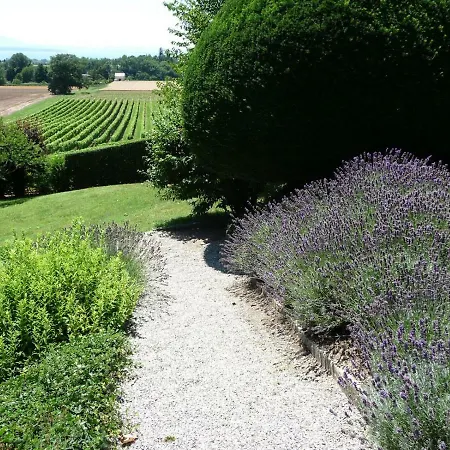 Chateau De Villa